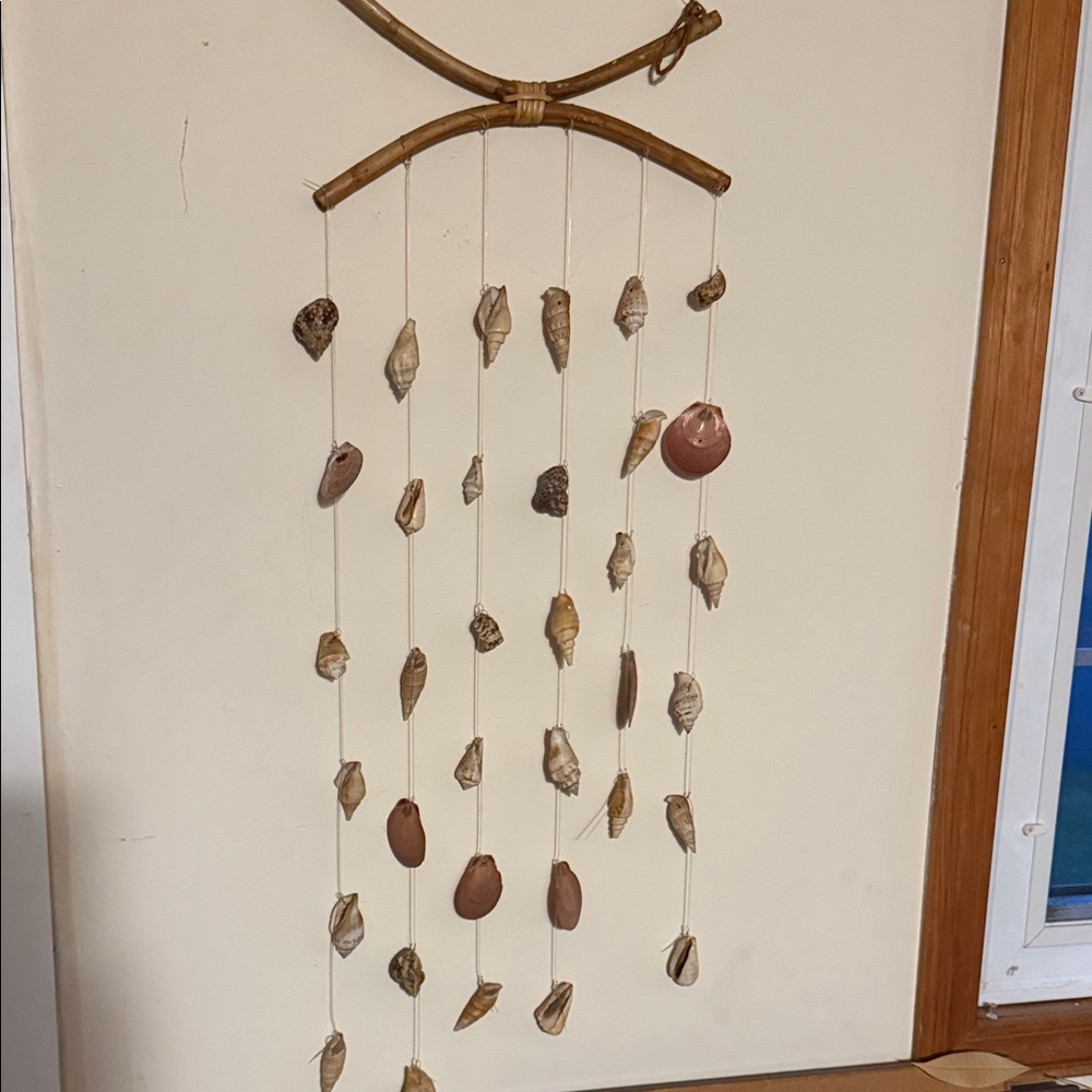 Natural Shell Wall Hanging Decor
